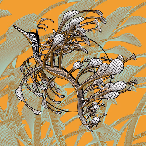 Seadragons #497