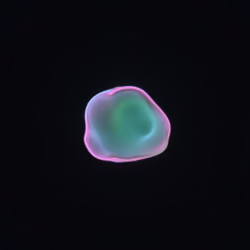 Bubble Blobby #217