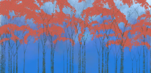 Item #254000080 Media