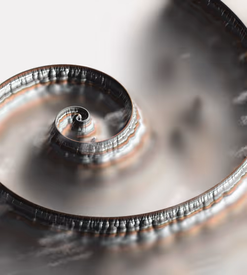 Item #291000306 Media