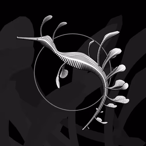 Seadragons #951