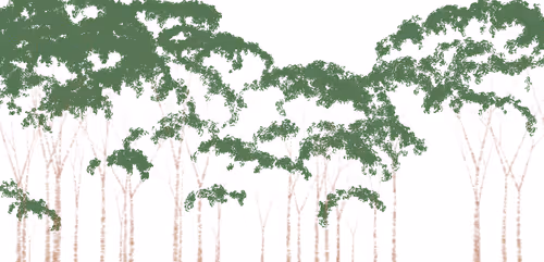 Item #254000019 Media