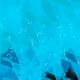 278000992