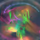288000019