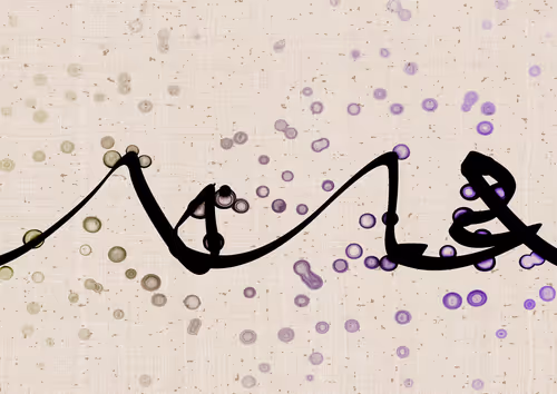 Item #328000042 Media