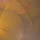 256000433