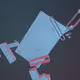 305000148
