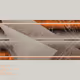 309000136