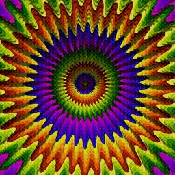 Item #225000428 Media