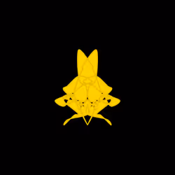 Cryptoblots #1785