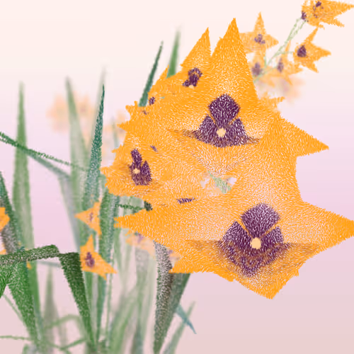 Cattleya #1