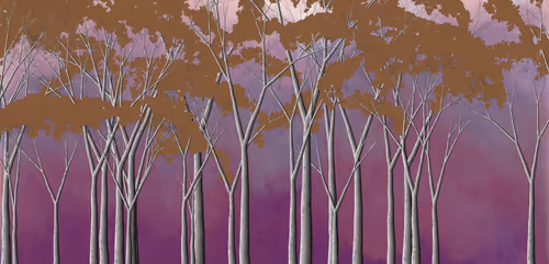 Item #254000057 Media