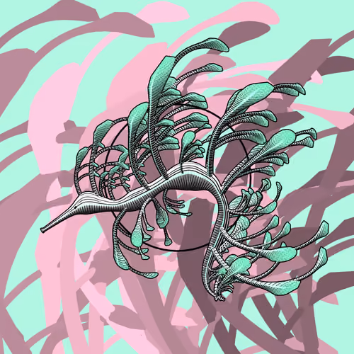 Seadragons #736