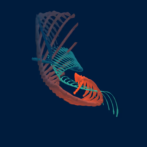 Item #268000172 Media