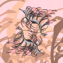 Seadragons #142