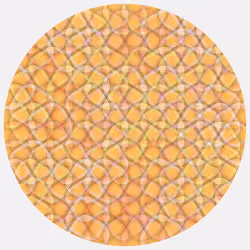 Ouroboros #901
