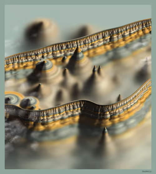 Item #291000112 Media