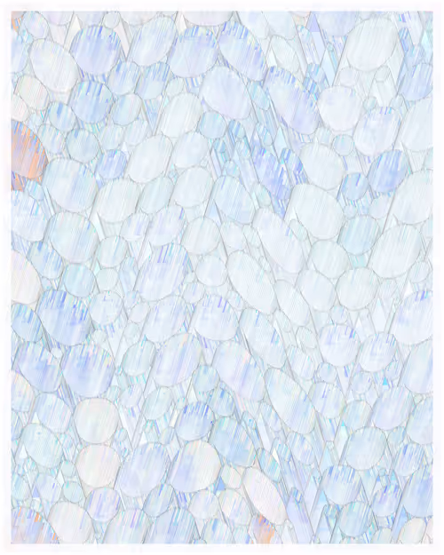 Item #344000238 Media