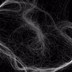 Phototaxis #307