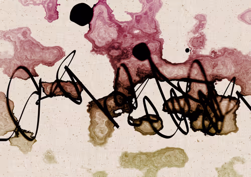 Item #328000137 Media