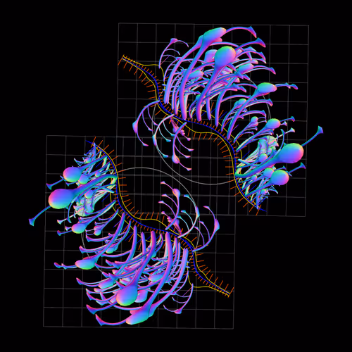 Item #160000640 Media