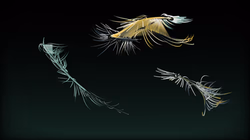 Item #201000102 Media