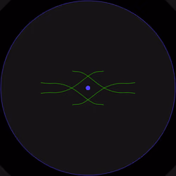 Petri #65