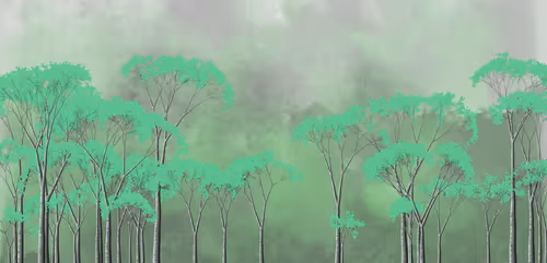 Item #254000037 Media