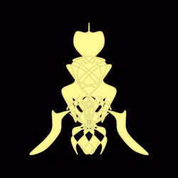 Cryptoblots #38