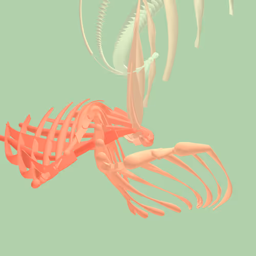 Item #268000074 Media