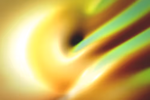 Item #296000300 Media