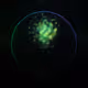 178000977