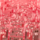 204000237