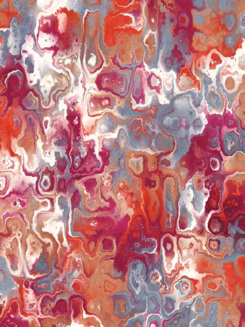 Item #366000018 Media