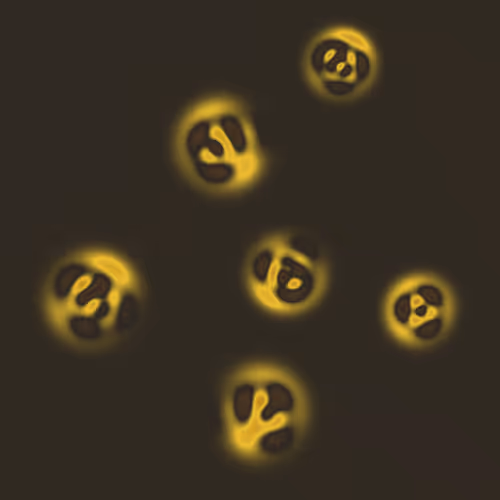 Quantum Collapses #304