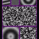 257000064