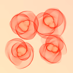 Flowers #5428