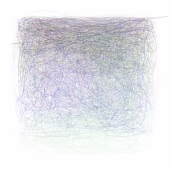 Scribbled Boundaries #782
