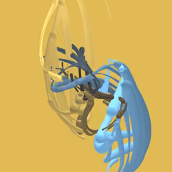 Item Media
