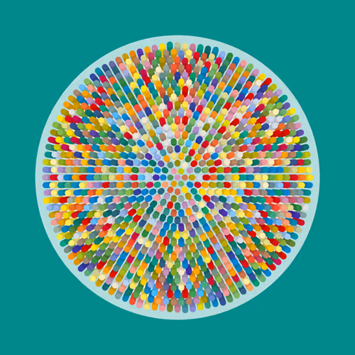 Transitions By Jason Ting X Matt Bilfield