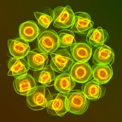 Flowers #4042