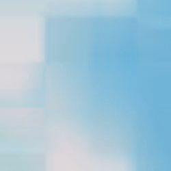 332000079