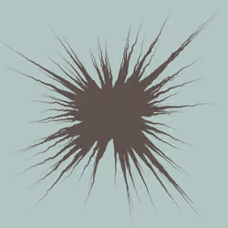 Star Flower #314
