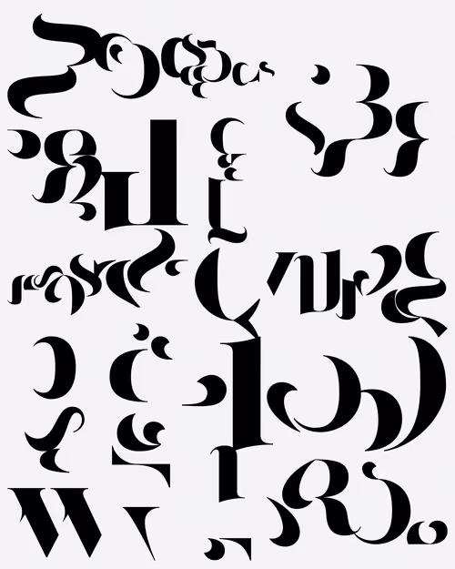 Item #206000324 Media