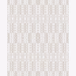 Warp #384