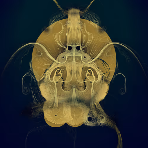 Latent Spirits By Robert Hodgin