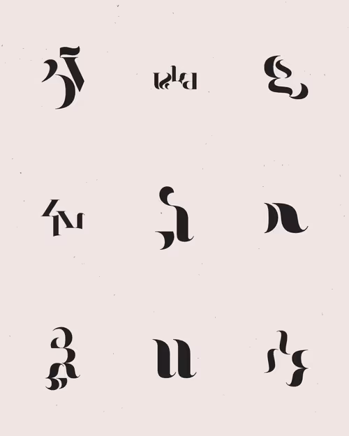 Item #206000493 Media