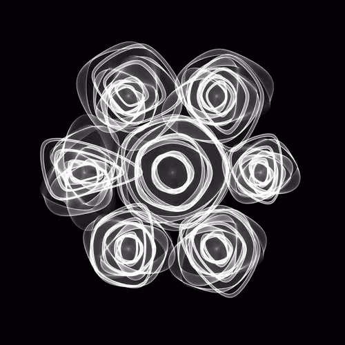 Flowers #6123