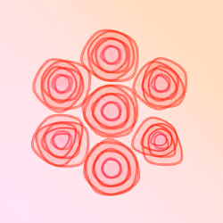 Flowers #5148