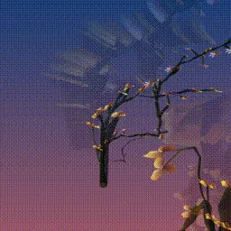 Item #279000128 Media